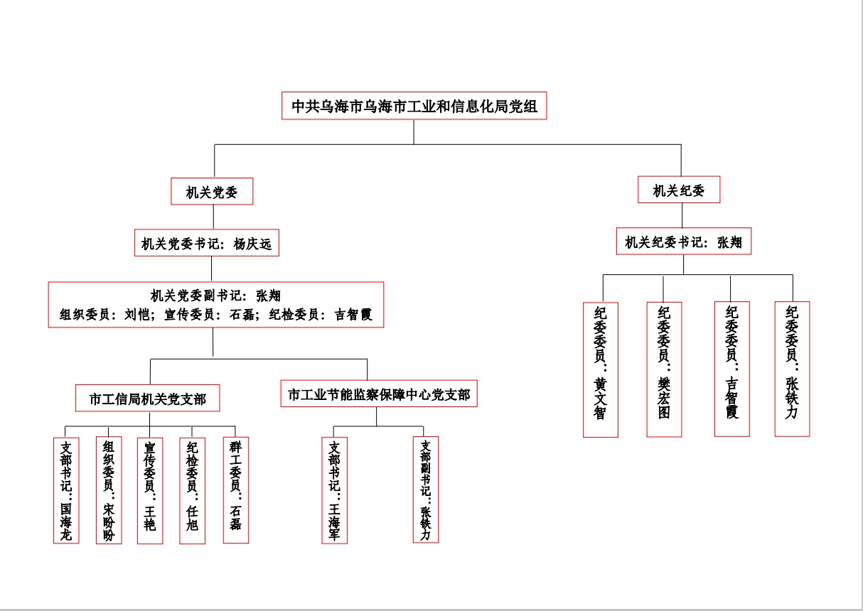 市工信局2024年党组织架构图