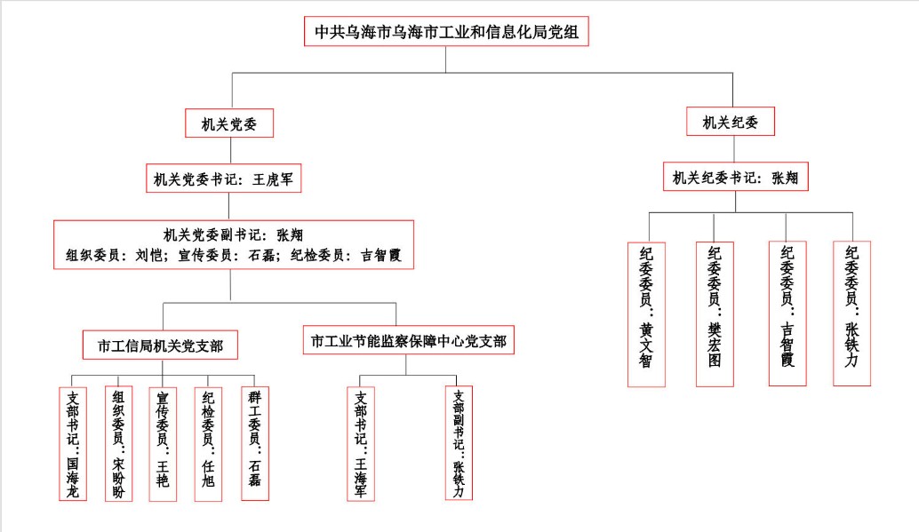 市工信局2025年党组织架构图